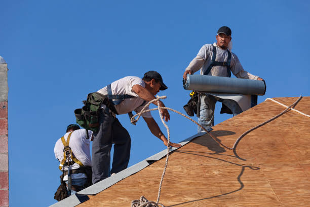 Professional Roofing Contractor in Columbus Af, MS